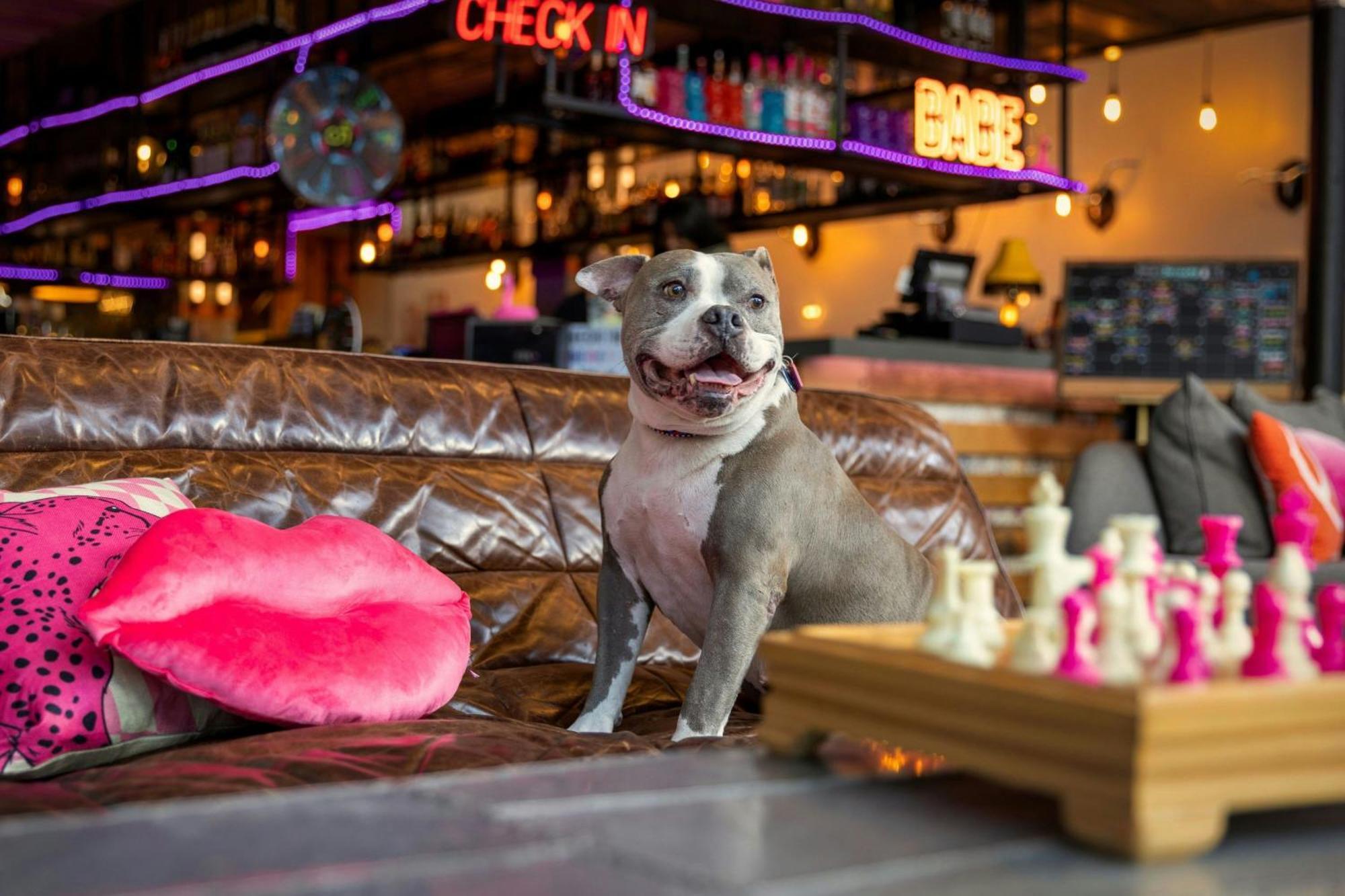 Moxy Washington, Dc Downtown Otel Dış mekan fotoğraf